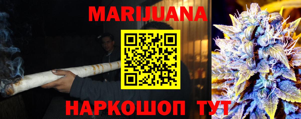 Каннабис сатива Верхняя Пышма